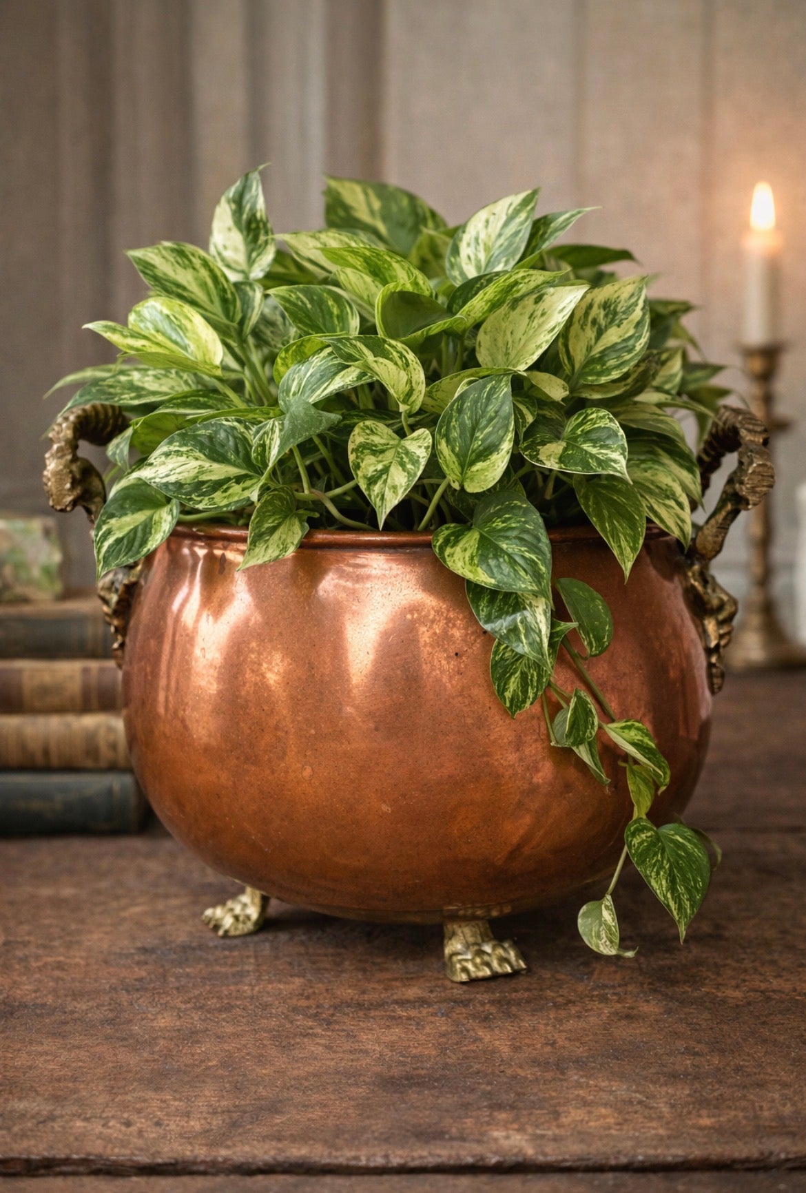 Antique Copper Cachepot with Brass Lion Handles