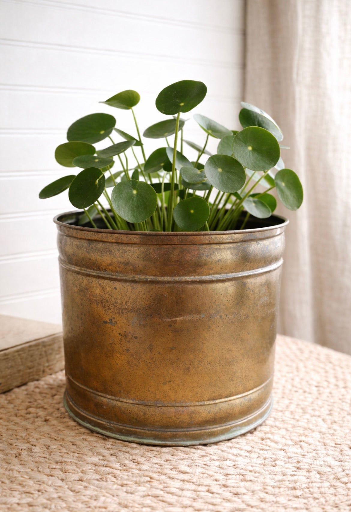 Vintage Brass Planter with Aged Patina – Large Brass Cachepot – Vintage Brass Plant Pot
