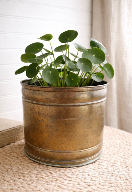 Vintage Brass Planter with Aged Patina – Large Brass Cachepot – Vintage Brass Plant Pot